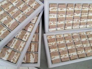 گز نوقا تبریز